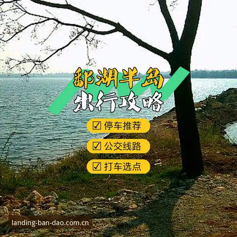 半岛体育平台哪个好？官方入口与版本选择完整指南